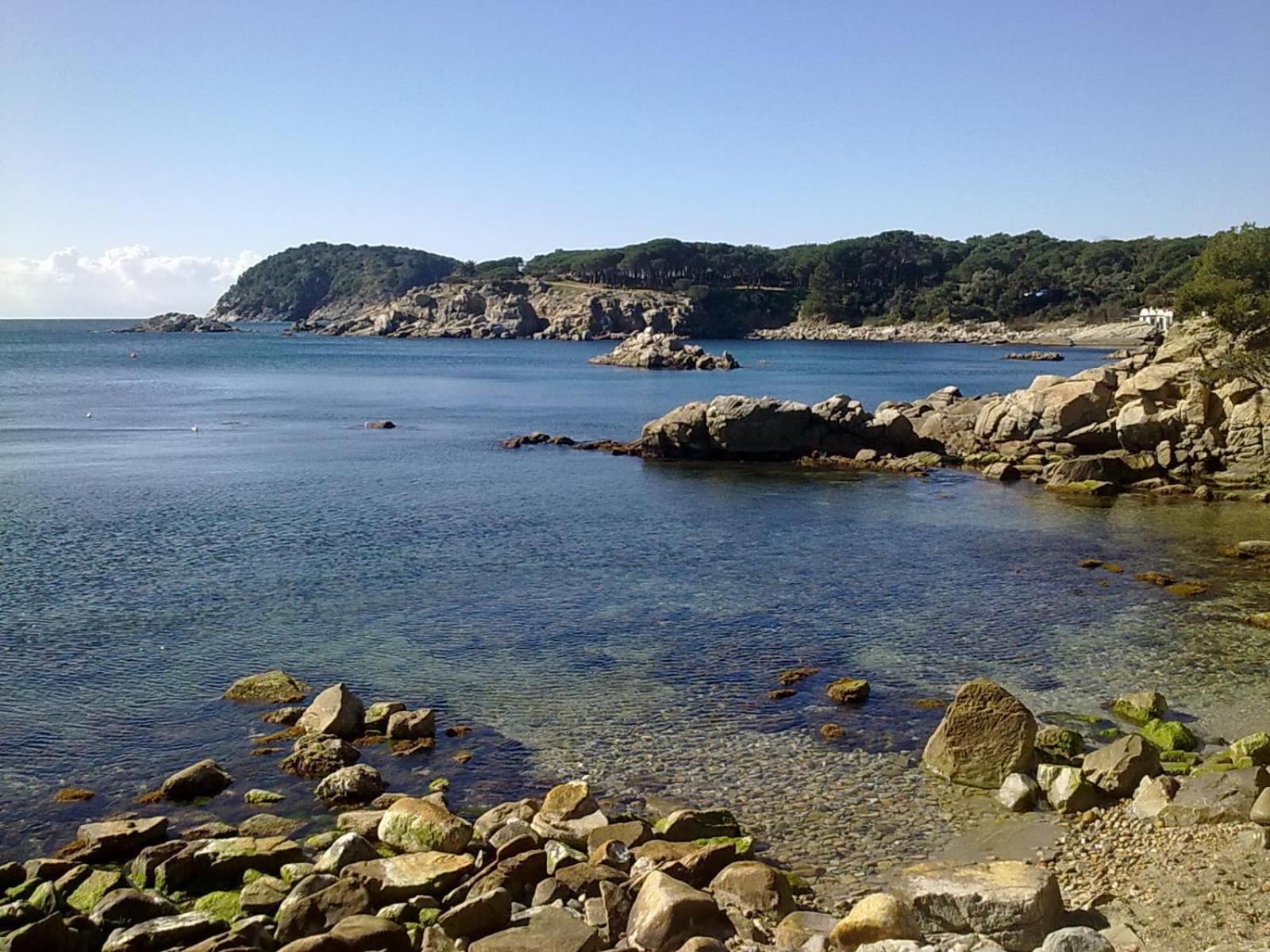 Hotel Ancora Palamós Dış mekan fotoğraf