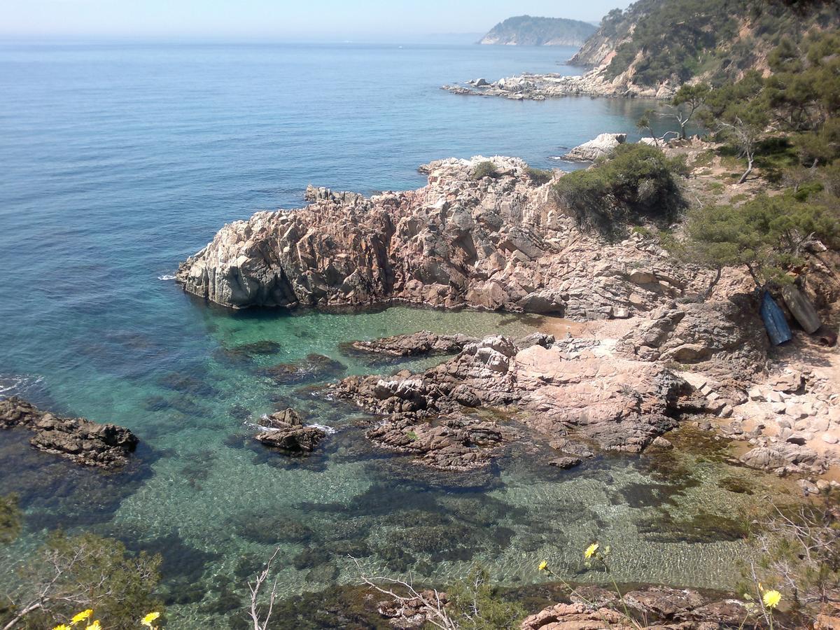 Hotel Ancora Palamós Dış mekan fotoğraf