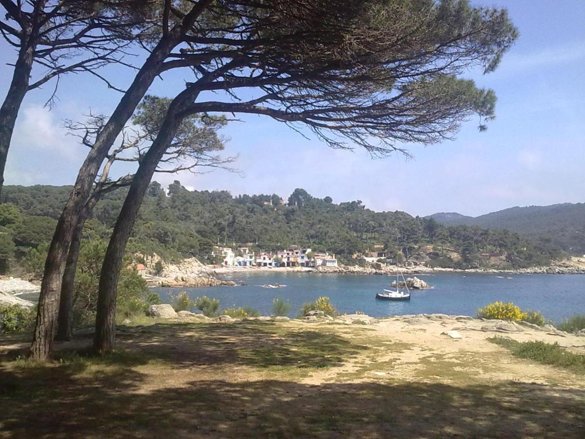 Hotel Ancora Palamós Dış mekan fotoğraf